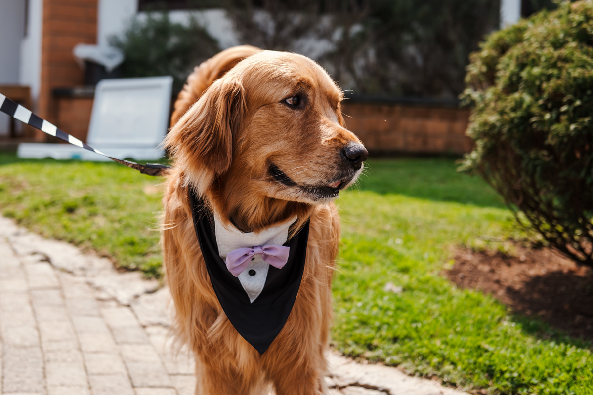 Helena e Leandro trocam votos emocionantes em um mini wedding na Pousada Rohsler, cercados pela natureza de Monte Verde-MG