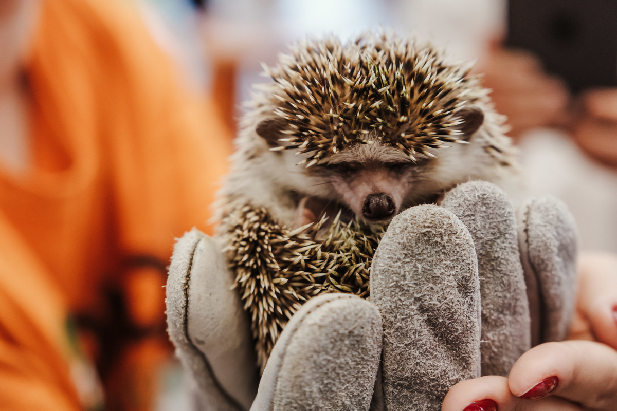 festa infantil tema carros casa cancun moema por JStella 