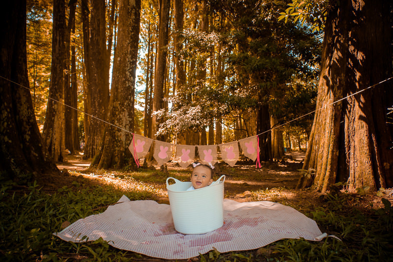 Ensaio smash the fruit no parque