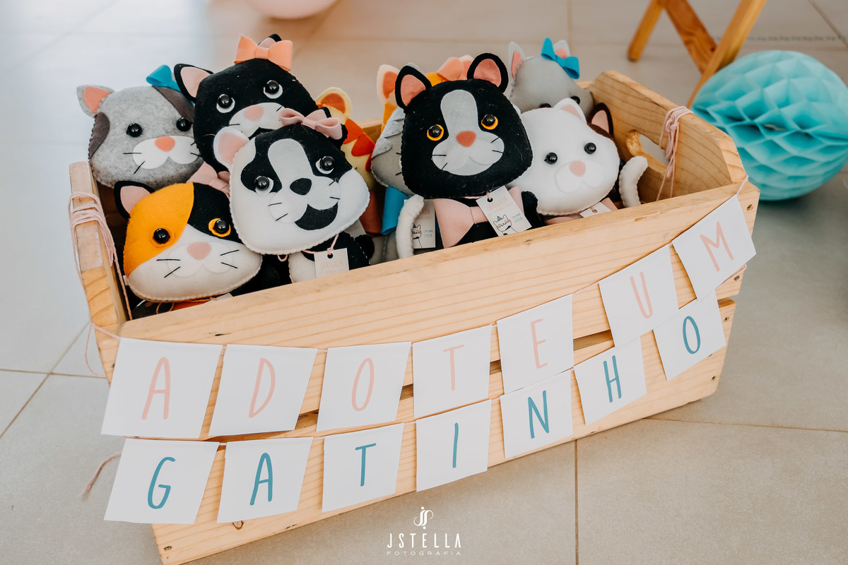 adote um gatinho