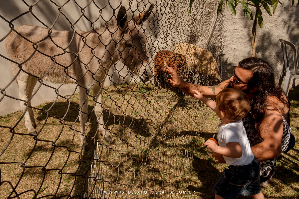 festa fazendinha com animais de verdade