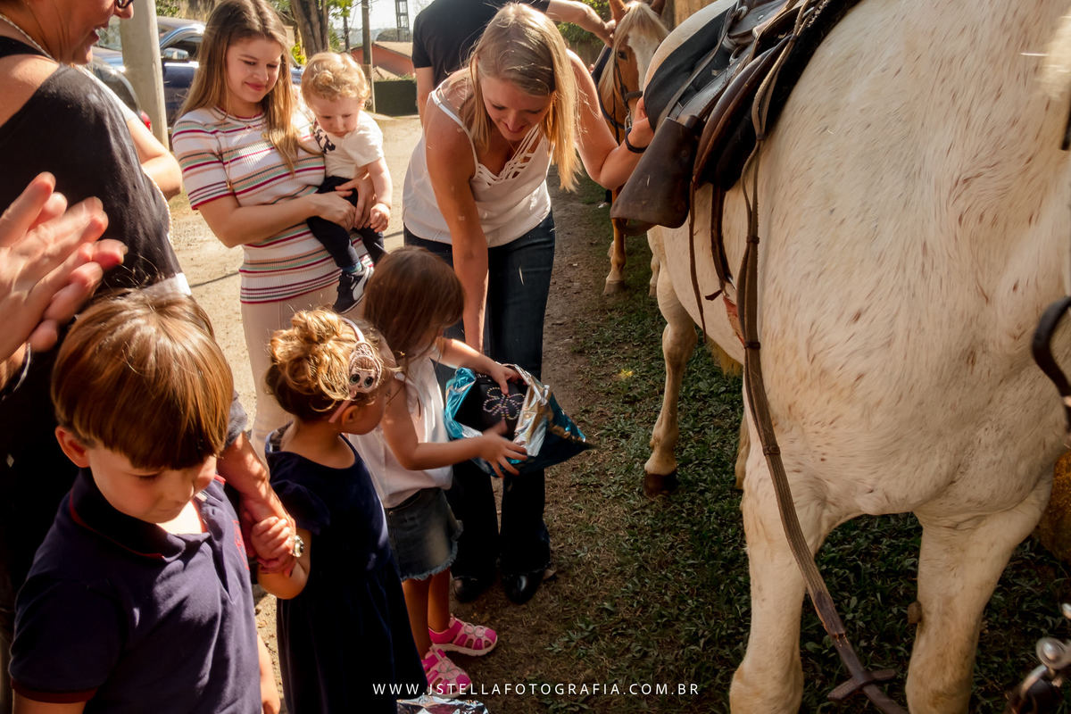 festa fazendinha com animais de verdade
