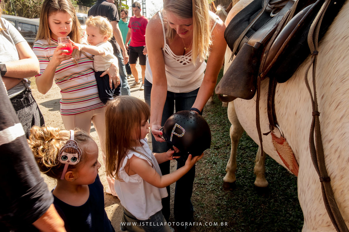 festa fazendinha com animais de verdade