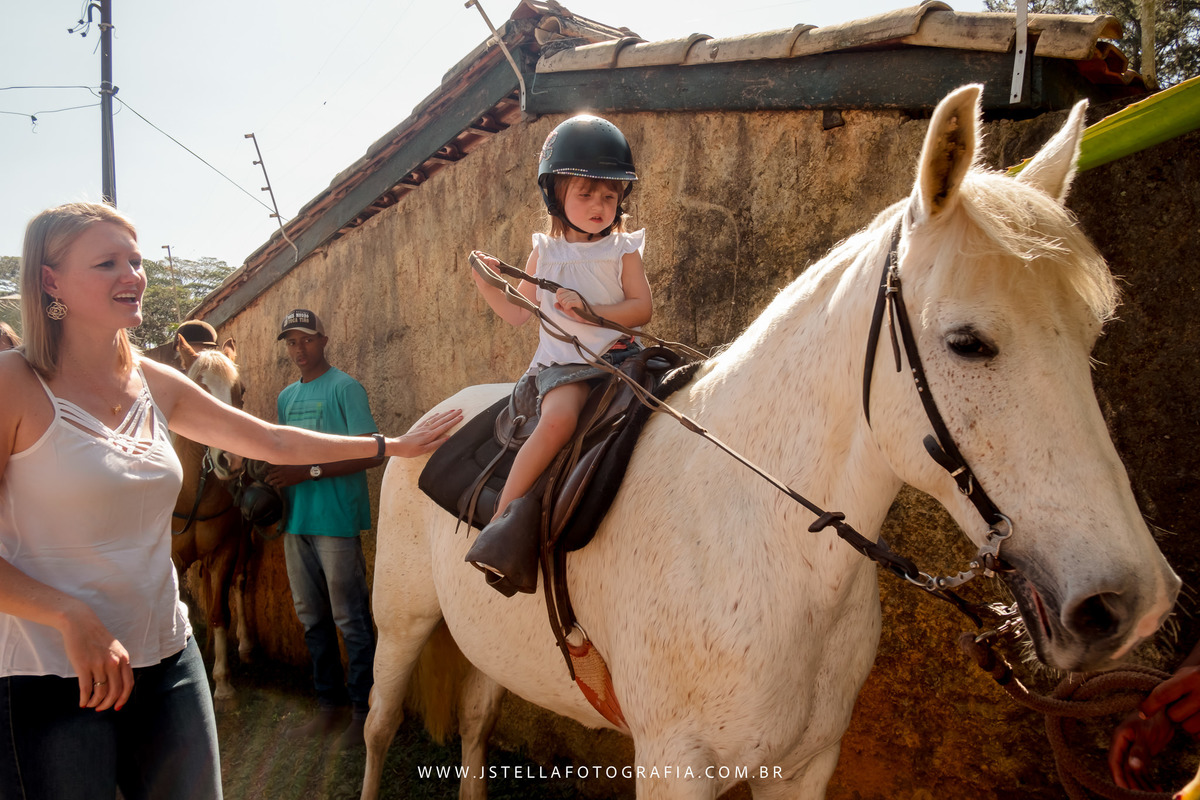 festa fazendinha com animais de verdade