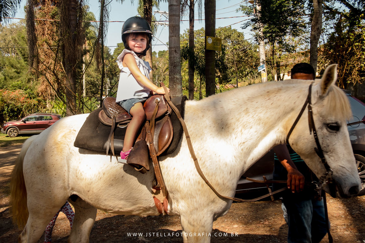 festa fazendinha com animais de verdade