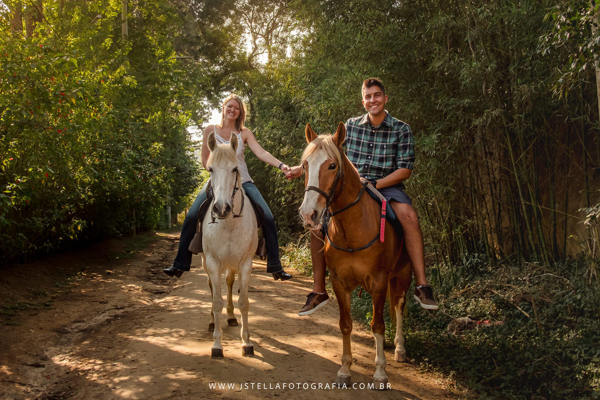 festa fazendinha com animais de verdade