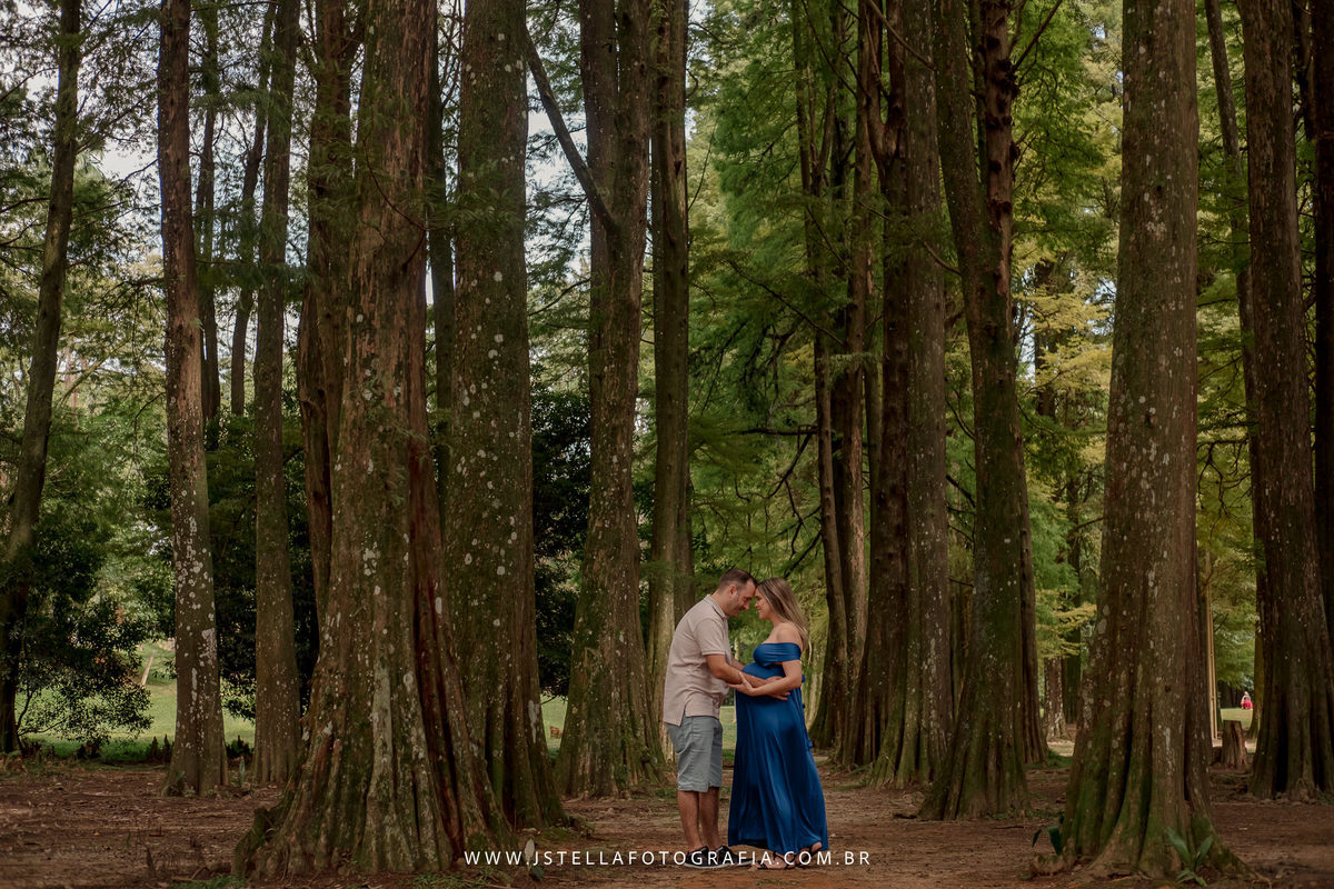 ensaio gestante horto florestal sp