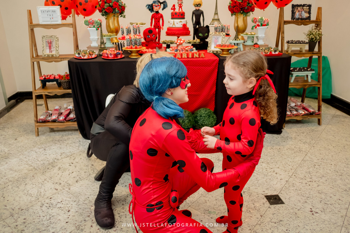 personagens ladybug na festa