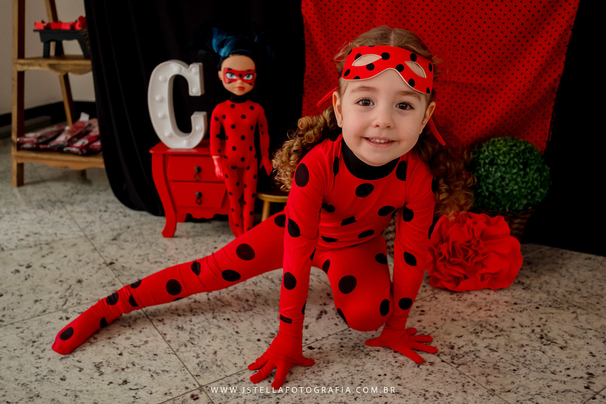 aniversariante de Ladybug