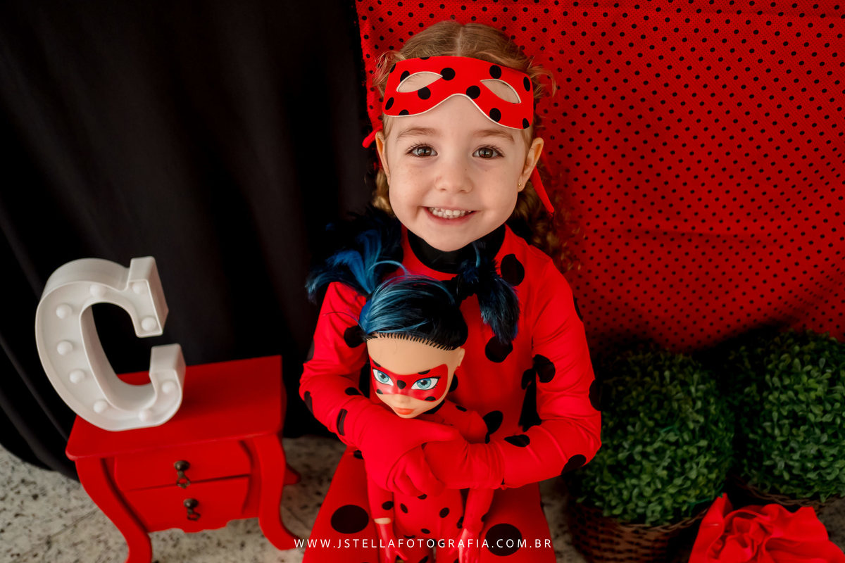 aniversariante de Ladybug