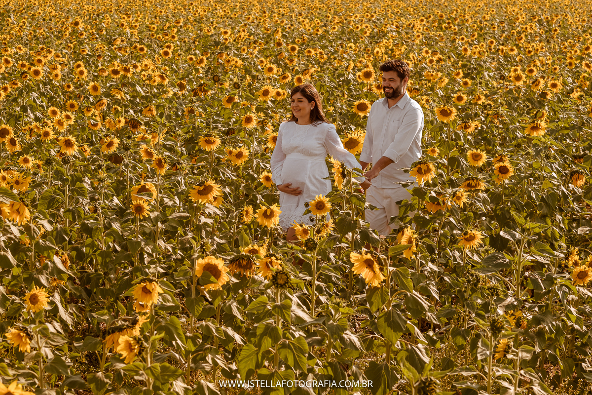 ensaio gestante em holambra