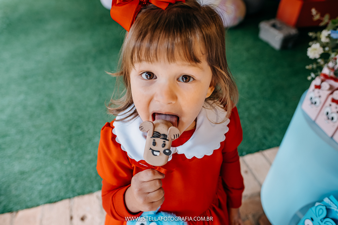 festa infantil turma da mônica sao paulo