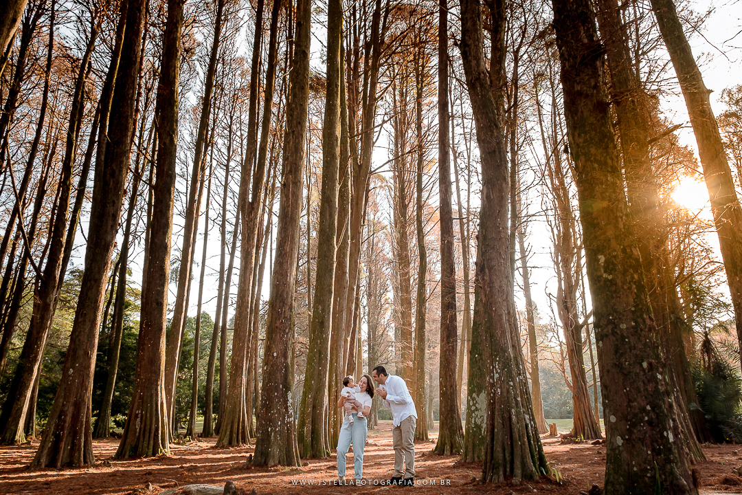 acompanhamento trimestral de bebê sp