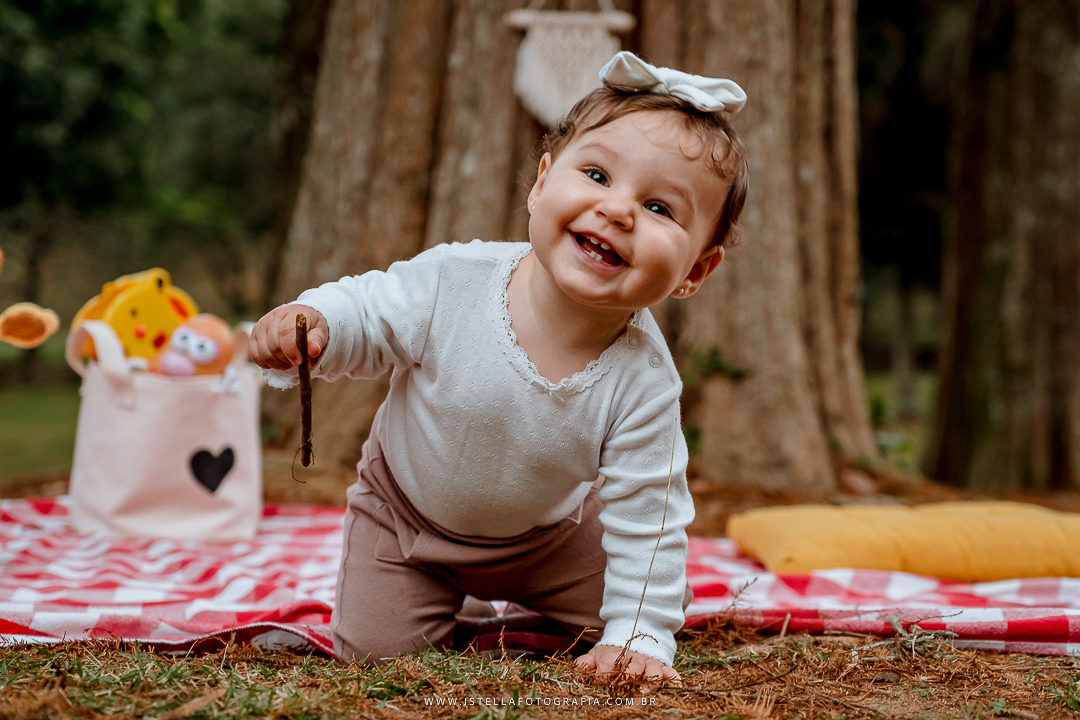 acompanhamento trimestral de bebê sp
