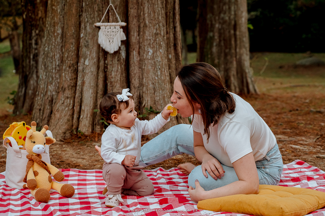 acompanhamento trimestral de bebê sp