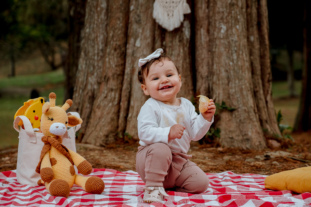 acompanhamento trimestral de bebê sp