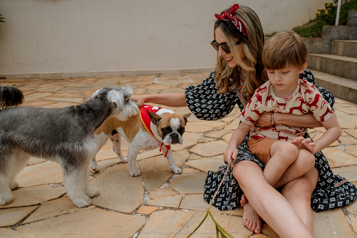 festa infantil pirata sp