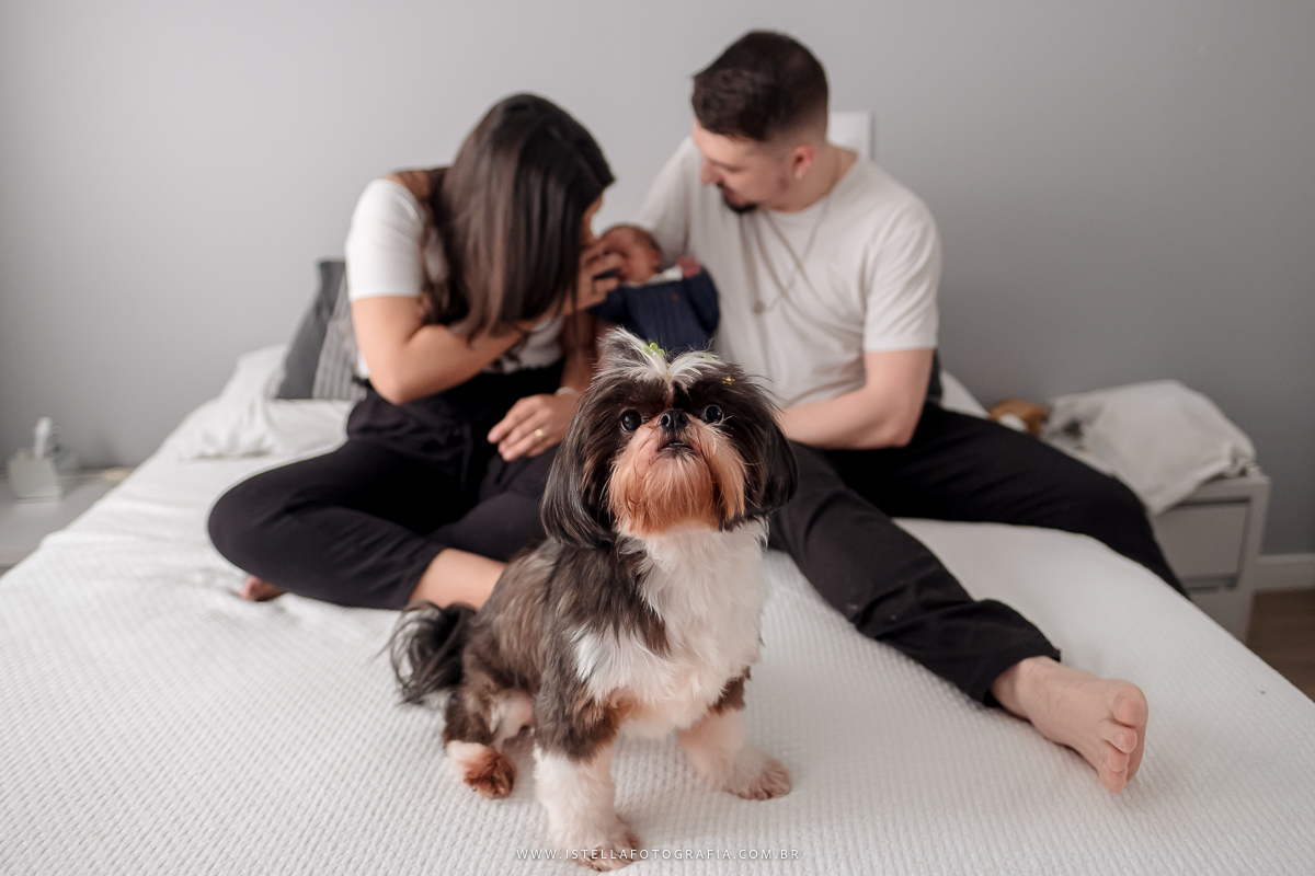 ensaio recem nascido sp