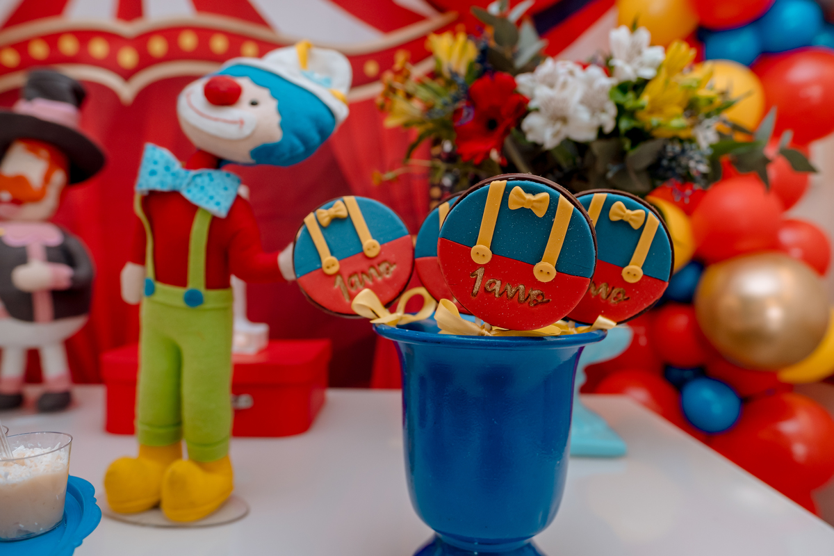 festa circo em casa sp