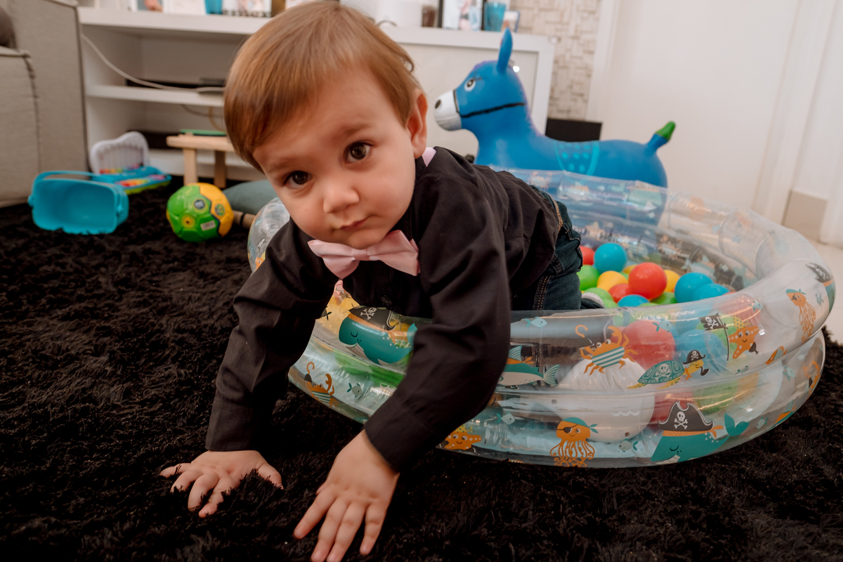 festa circo em casa sp