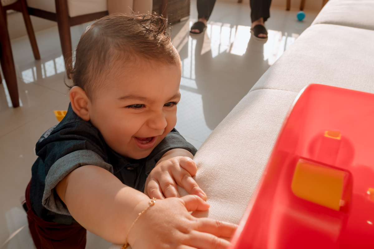 festa circo em casa sp