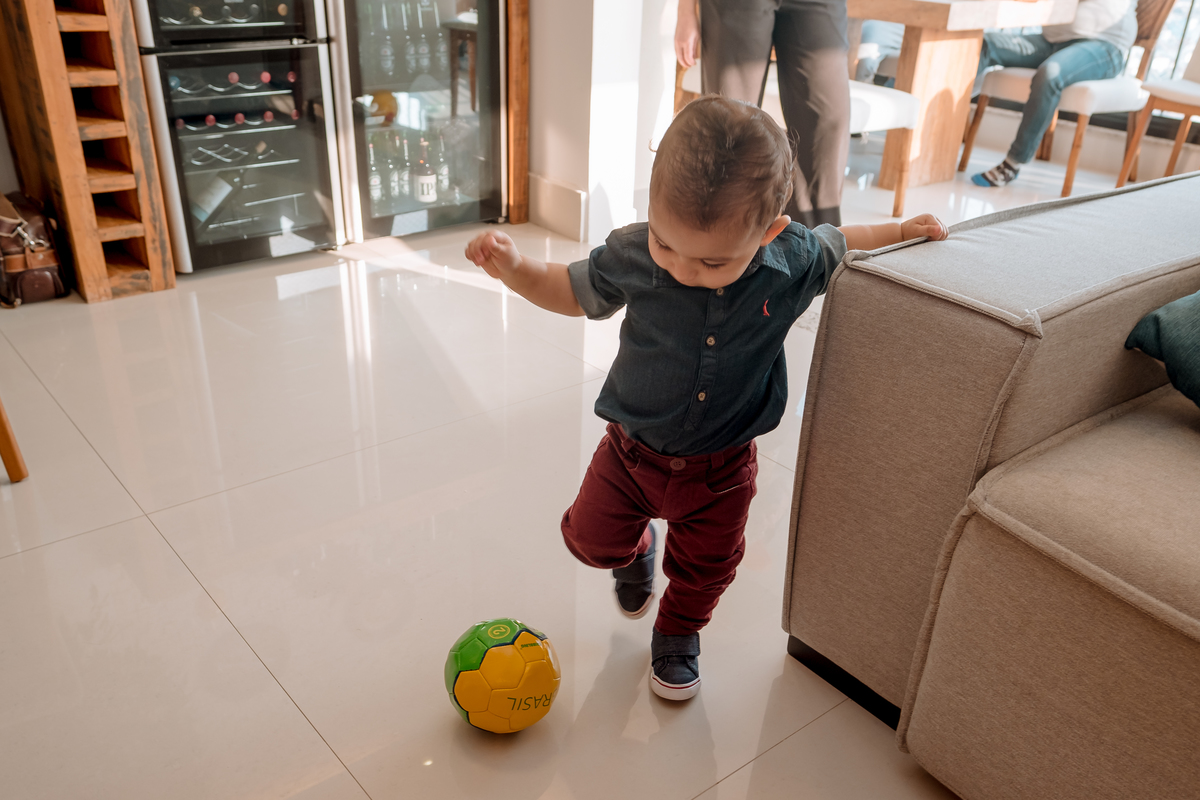festa circo em casa sp