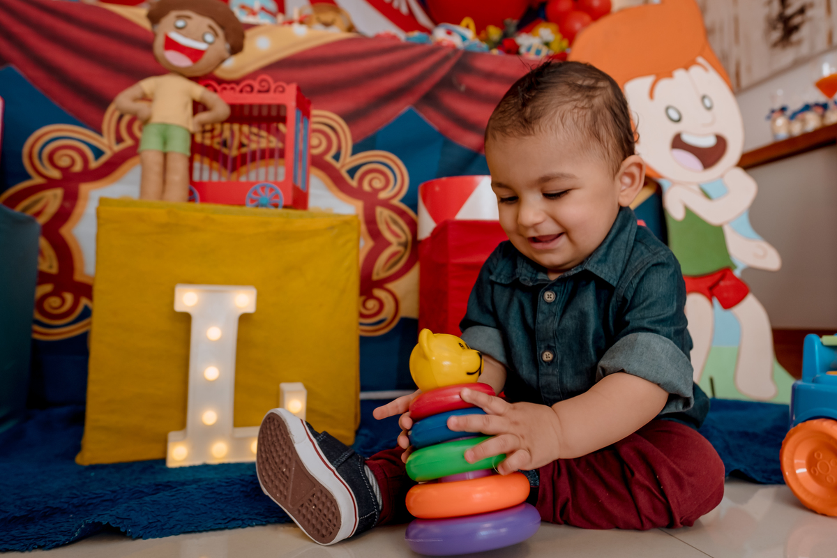 festa circo em casa sp