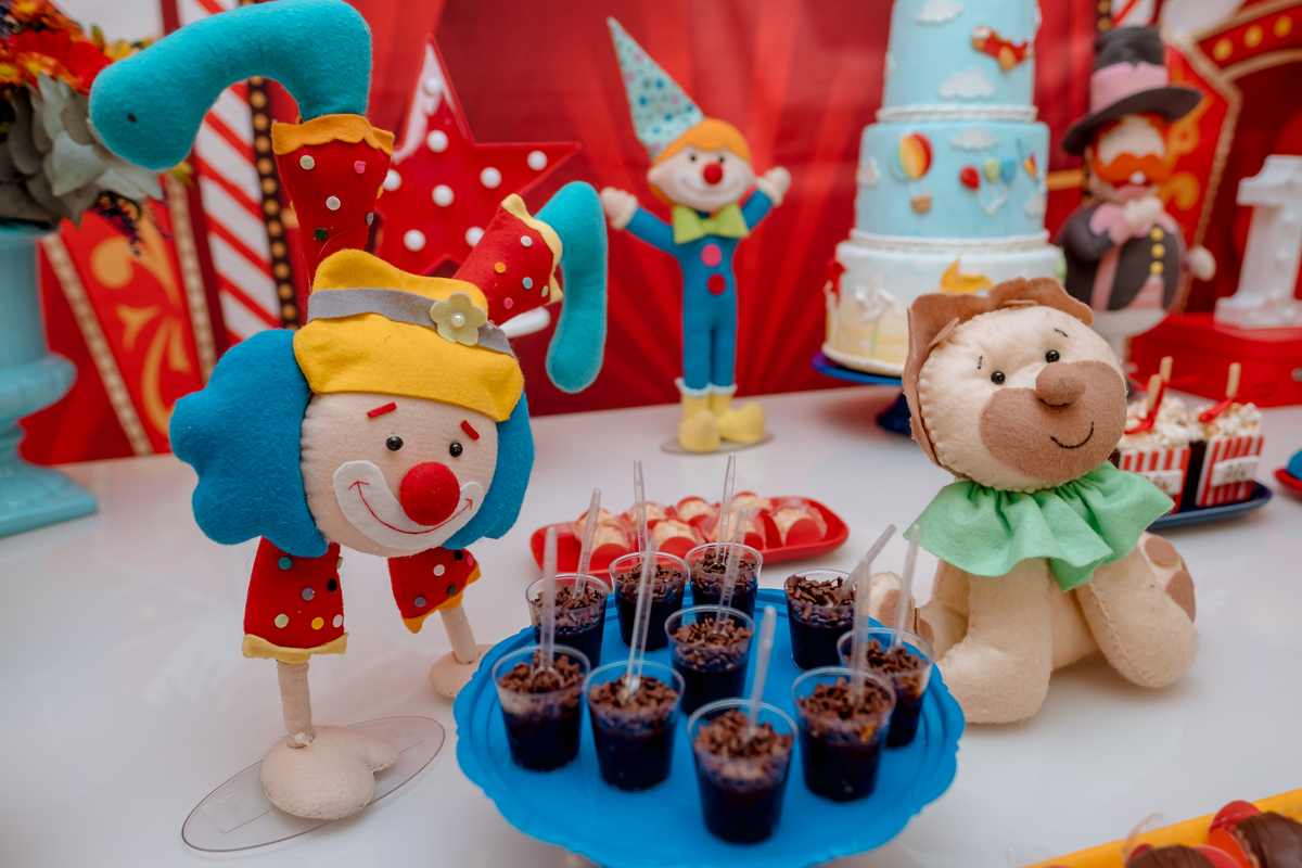 festa circo em casa sp