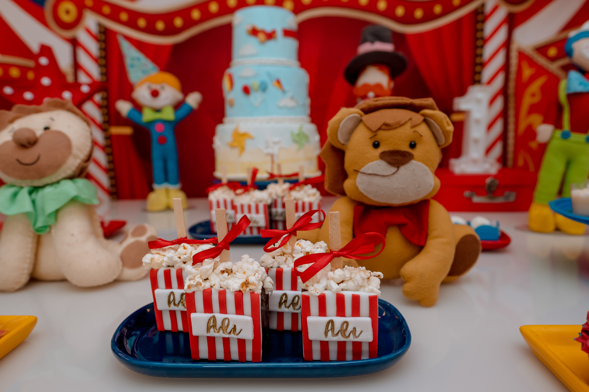 festa circo em casa sp