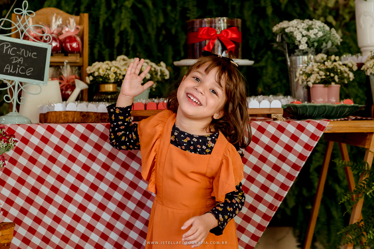 festa pic nic sao paulo