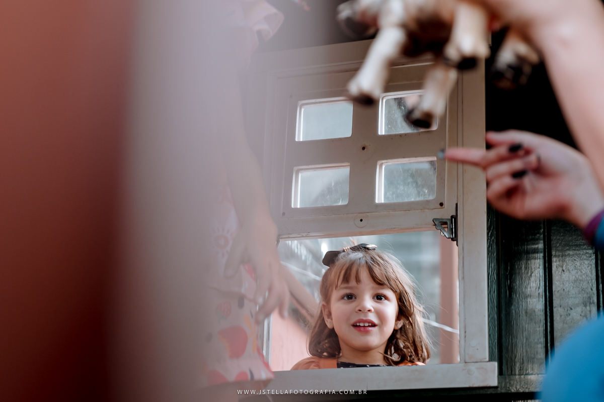 festa pic nic sao paulo