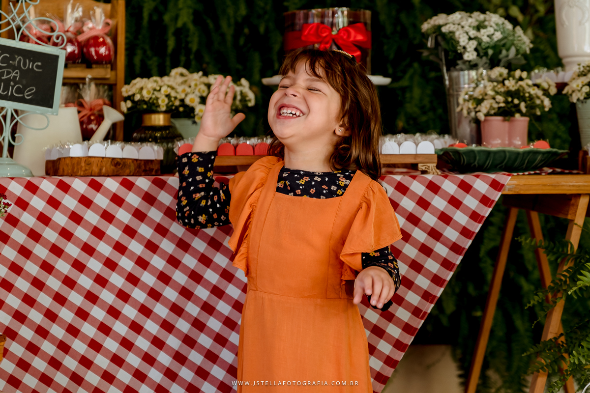 festa pic nic sao paulo