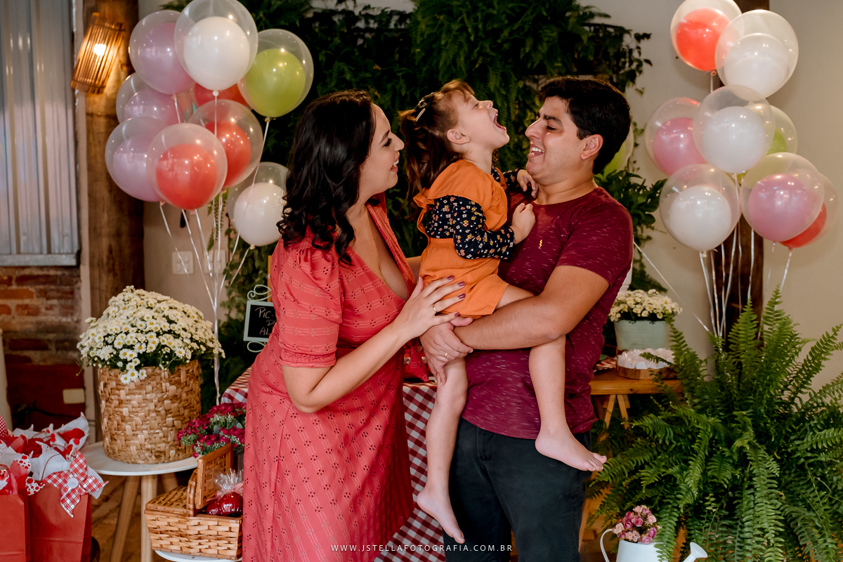 festa pic nic sao paulo