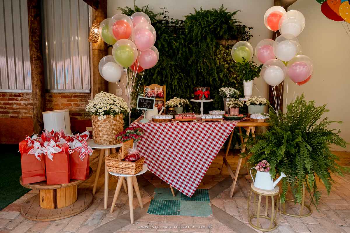 festa pic nic sao paulo