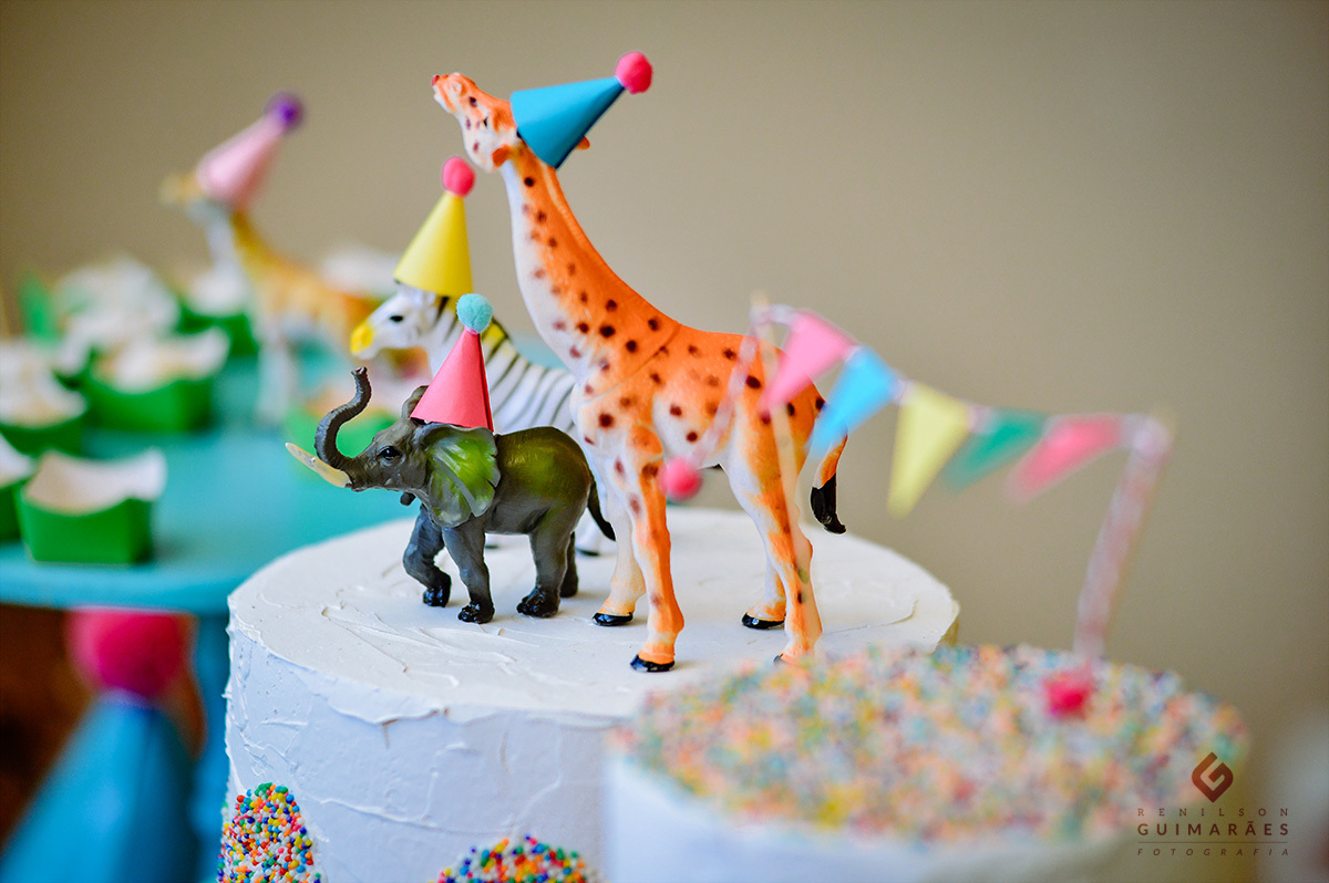 Os animais que fizeram parte da decoração