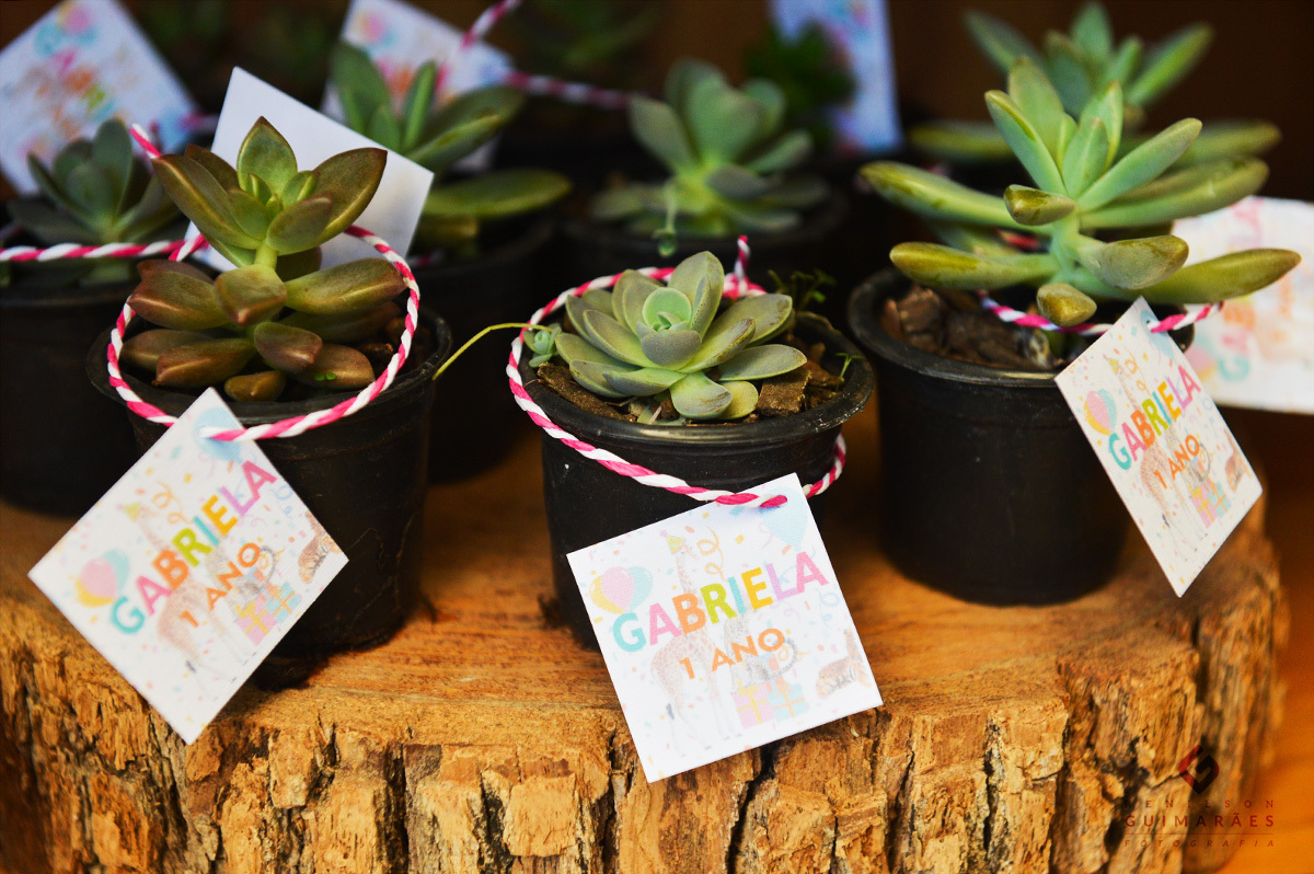 As lembrancinhas para os convidados