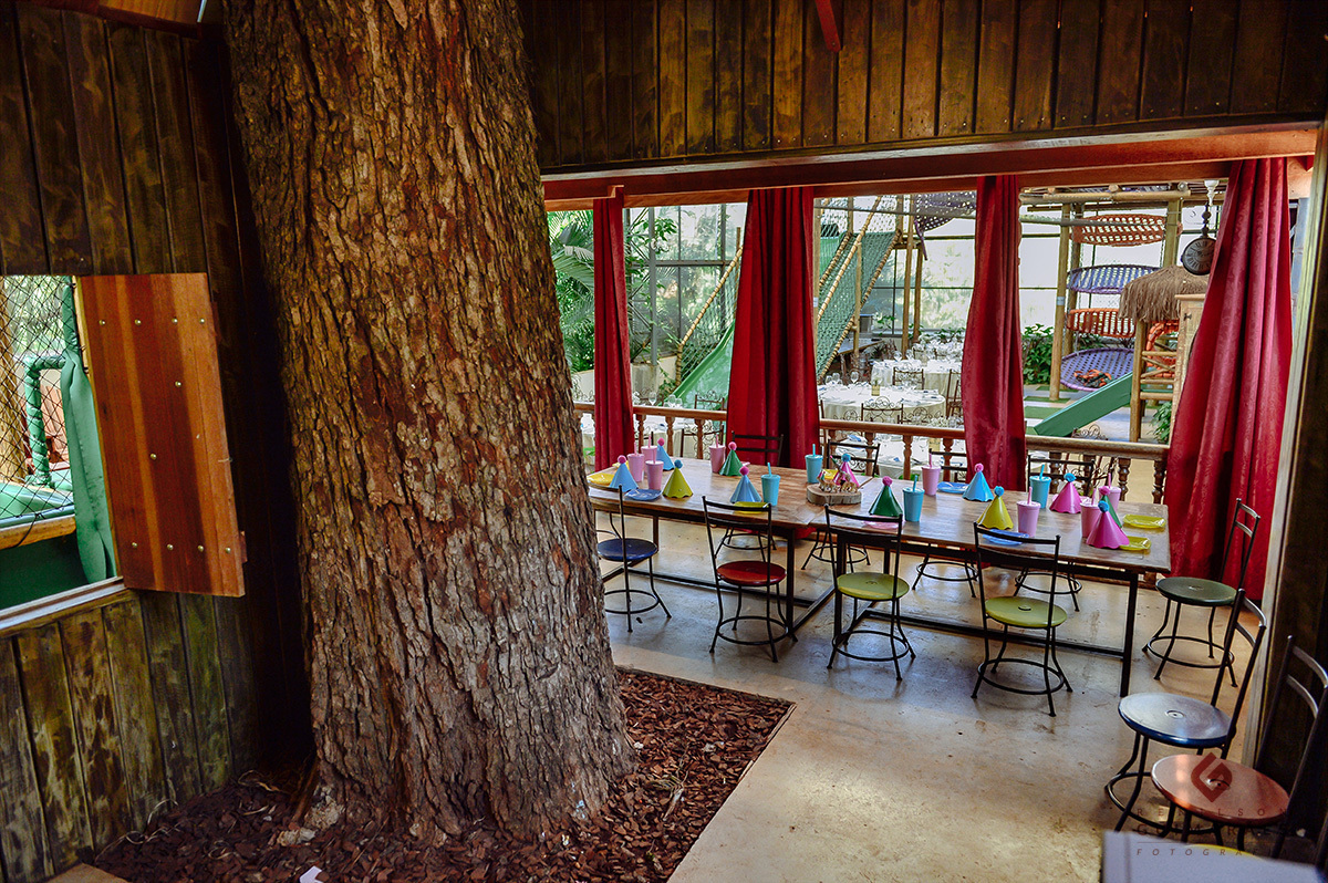 O detalhe da árvore fazendo parte do ambiente da festa