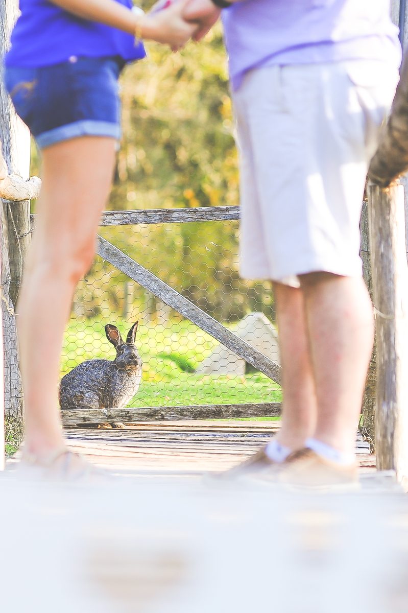 Pré-wedding - noivos - Londrina