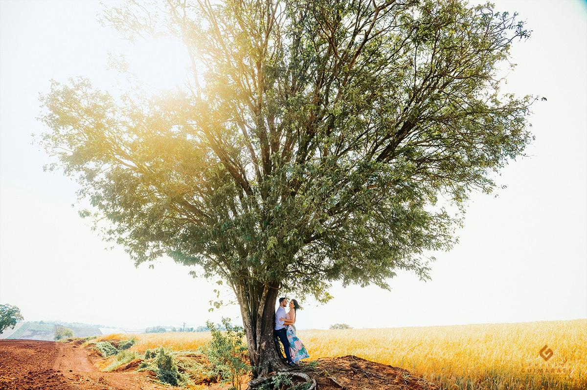 Noivos encostados em uma linda árvore