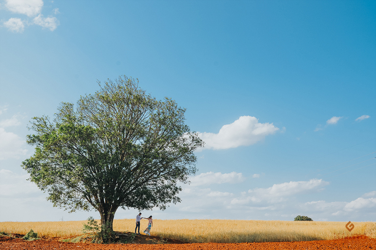 Noivos em ensaio na  zona rural