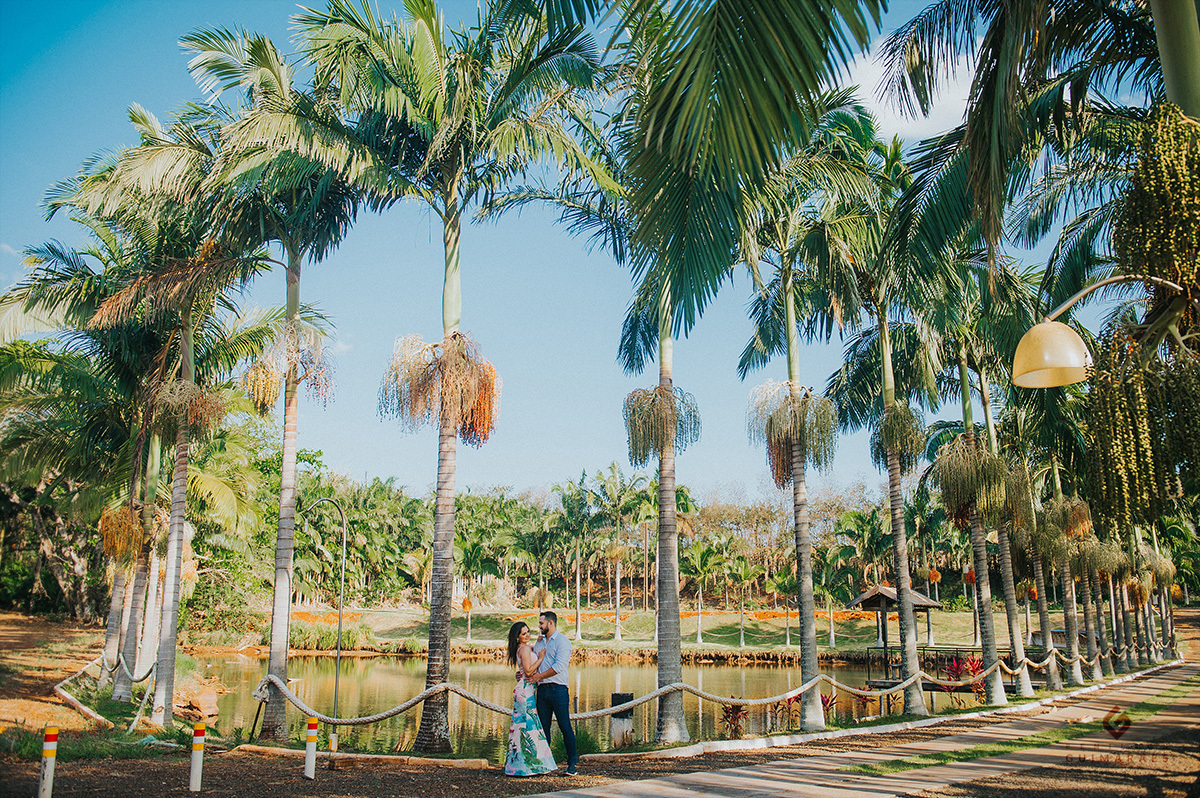 Foto dos noivos rodeados por palmeiras imperiais