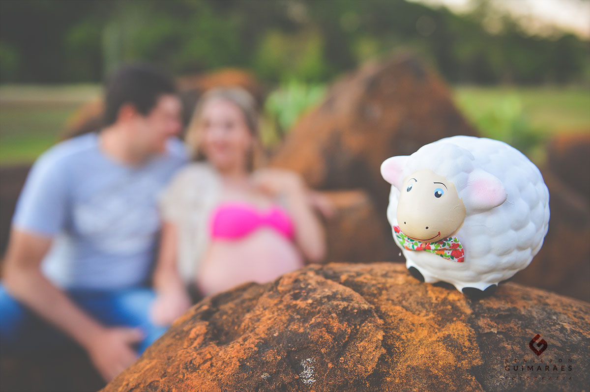 Ensaio gestante - ar livre - natureza