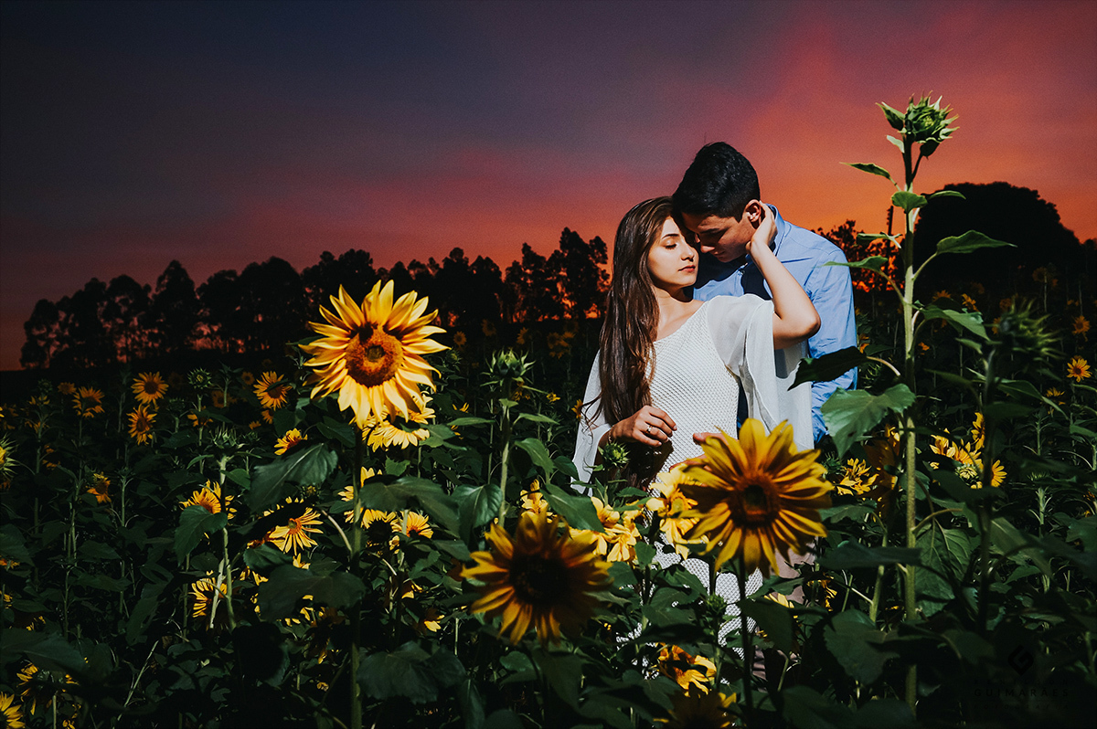 Noivos em um por do sol lindo