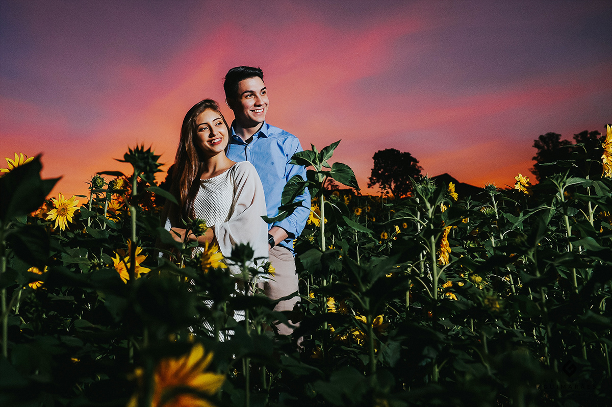 Noivos na plantação de girassóis