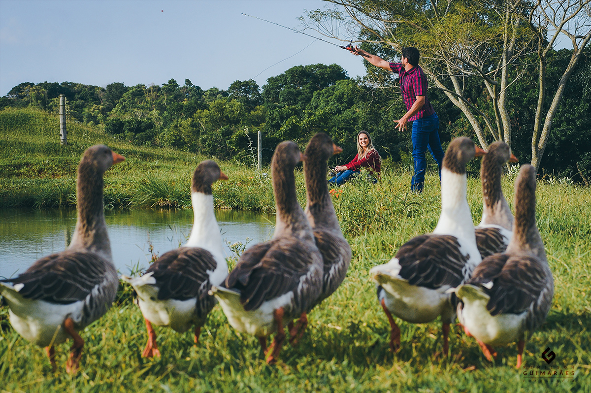 Noivos pescando com patos na beira do lago
