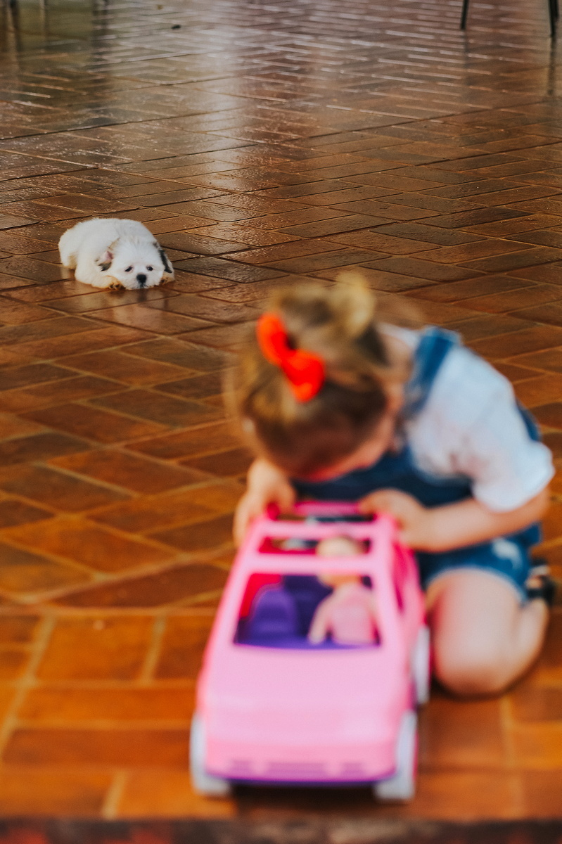 O cachorrinho e a menina, uma pausa na brincadeira
