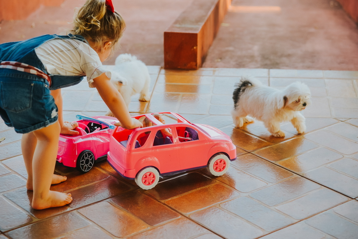 aniversário infantil