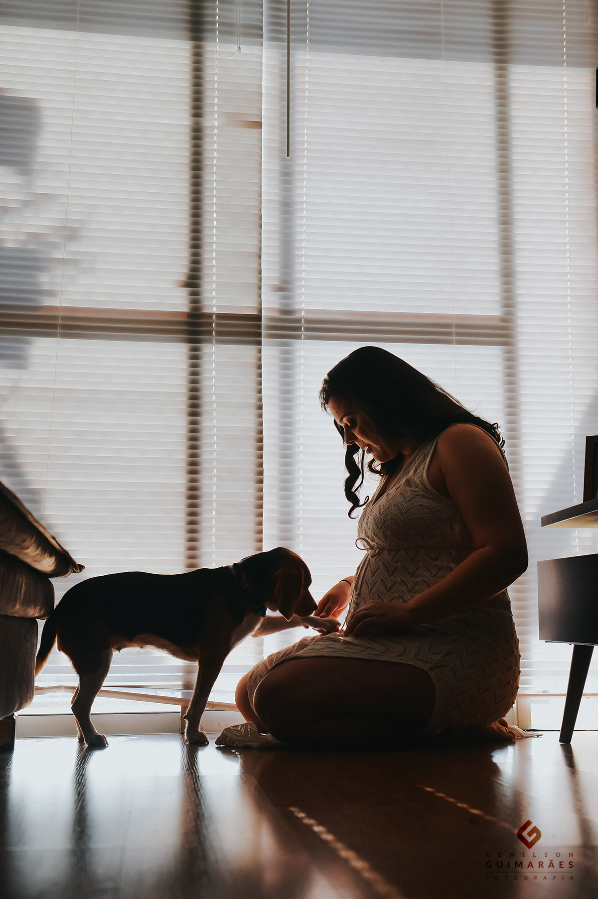 O cachorrinho com a gestante
