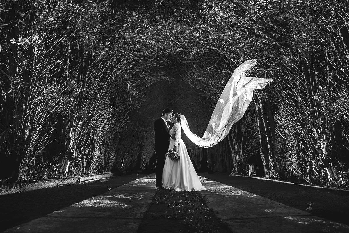 Casamento, casamento Foz do Iguaçu, tapete de espelho casamento, Marcelo Guazzi fotografia, foto de casamento