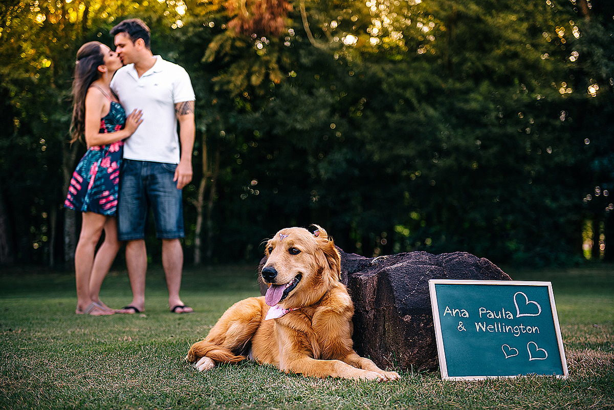 ensaio casal, ensaio fotografico casal, fotos casal, ensaio casal cachorro